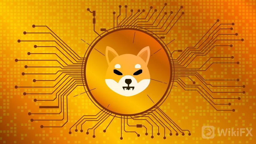 Shiba_Inu.jpg