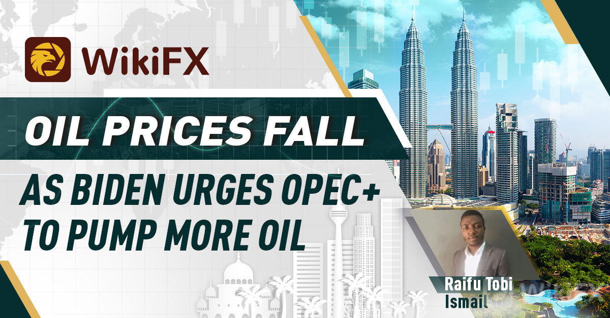 raifu_forex_15Nov.jpg