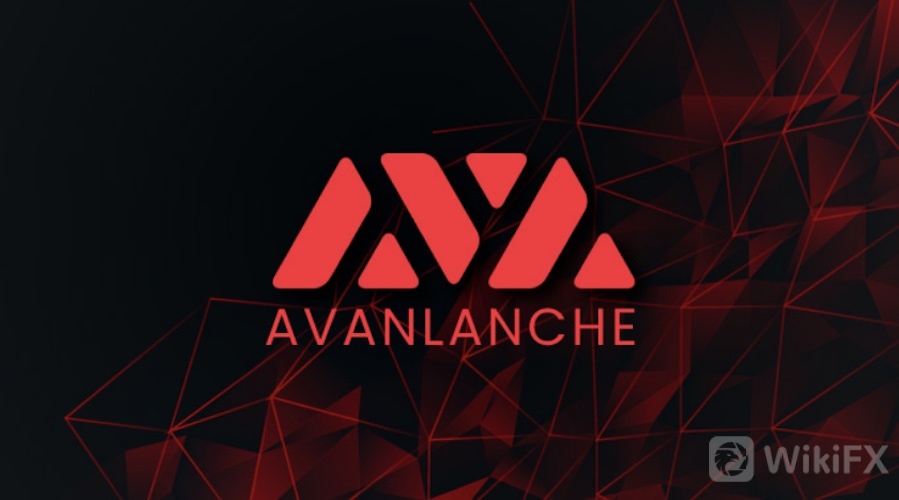 avan.jpg