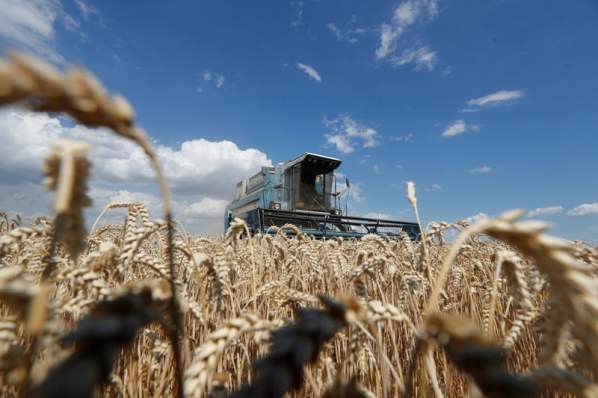 2022-04-10T201515Z_1_LYNXNPEI390BX_RTROPTP_3_UKRAINE-AGRICULTURE.jpeg